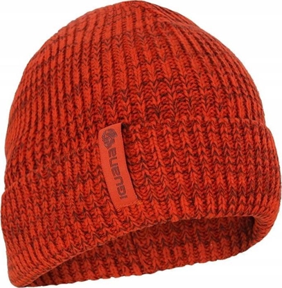 Picture of Iguana Czapka zimowa mska Iguana Liam czerwona