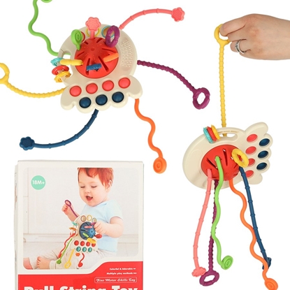 Picture of RoGer Montessori Sensory Toy