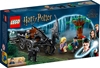 Изображение Konstruktorius LEGO Harry Potter TM Hogvartso™ karieta su testraliais 76400