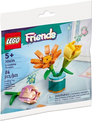 Attēls no LEGO 30634 Friendships Flowers (Polybag) Constructor