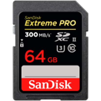 Picture of SANDISK SDSDXEP-064G-GN4IN