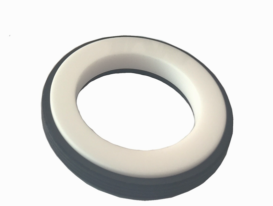 Picture of Blīvslēgs C.21S 13x26x5.5     Dellerba