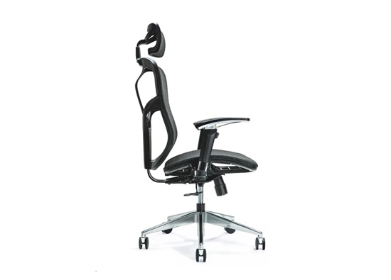 Picture of Ergonomic office chair ERGO 500 black