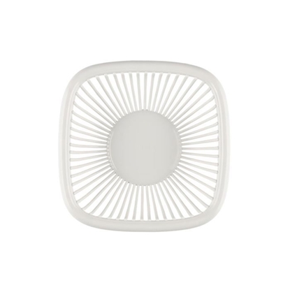 Picture of Maizes grozs pelēks