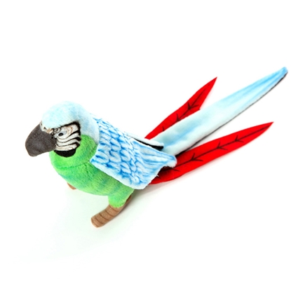 Attēls no Mīkstā rot. Papagailis zaļš