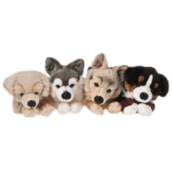 Picture of Mīkstā rot. Suņi dažādi, vidēji