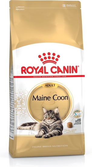 Picture of Royal Canin FBN Maine Coon Adult - dry food for adult cats - 4kg