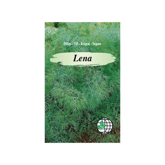 Picture of Sēklas Dilles Lena 1.5g