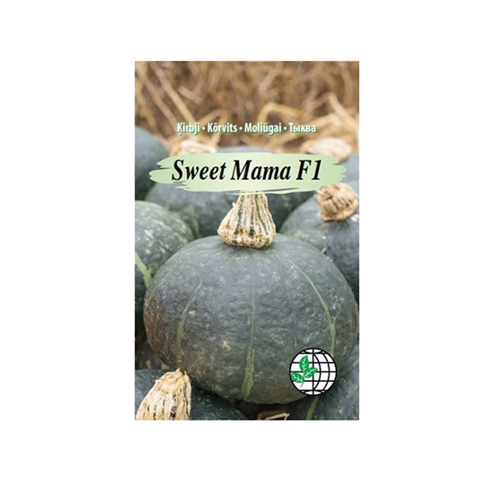 Picture of Sēklas Ķirbis Sweet Mama F1 5gab.