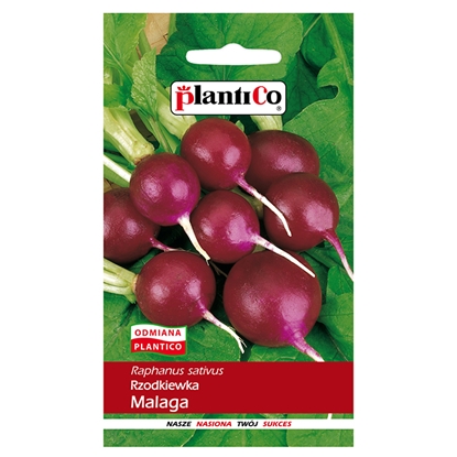 Picture of Sēklas Redīsi Malaga 5g