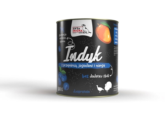 Picture of SYTA MICHA Turkey with berries and mango - wet dog food - 800g