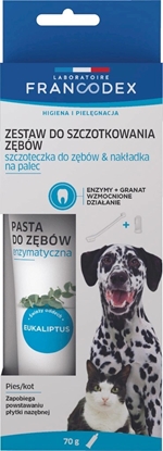 Attēls no FRANCODEX Toothbrush and toothpaste for dog and cat - 70g