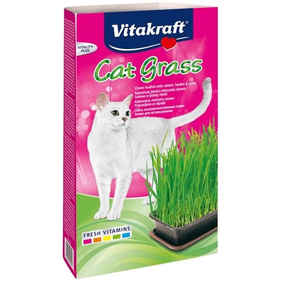 Picture of VITAKRAFT Cat Grass - Kit for cats - 120