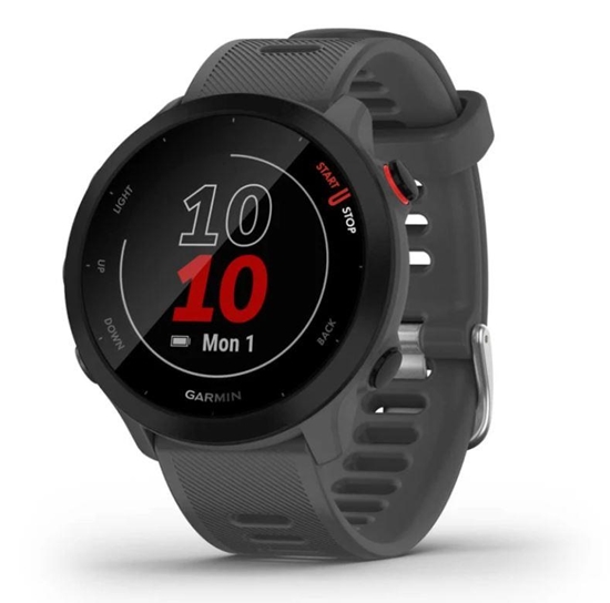 Picture of Garmin Forerunner 55 grey