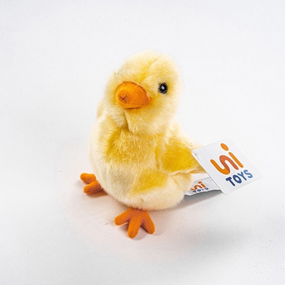 Attēls no Mīkstā rot.Cālis