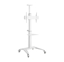 Picture of Monitora stiprinājums Gembird Aluminum TV Floor Stand  with Caster Wheels White
