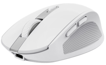 Picture of Datorpele Trust Ozaa White