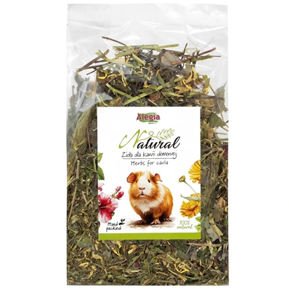 Изображение ALEGIA Herbs for cavia - treat for domestic cavies - 100g
