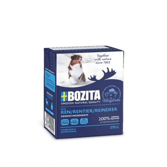 Picture of Bozita 4263 dogs dry food 370 g