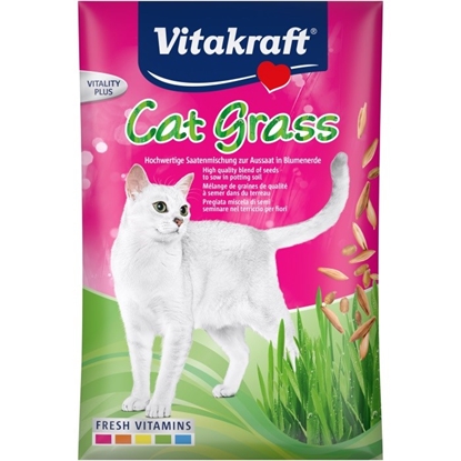Picture of VITAKRAFT Cat Grass - grass seeds - 50 g