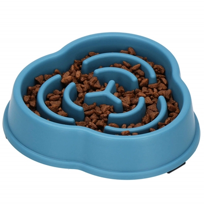 Attēls no Barības bļoda suņu Springos