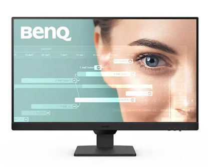 Picture of BenQ GW2490T