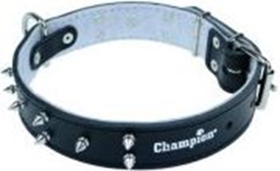 Picture of Champion Obroa Skórzana zdobiona 60/3.5