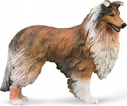 Изображение Figurka Collecta COLLECTA OWCZAREK SZKOCKI DUGOWOSY