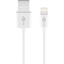 Attēls no Goobay  54600  USB-C to Lightning Apple Lightnin male (8-pin)  USB 2.0 male (type A)