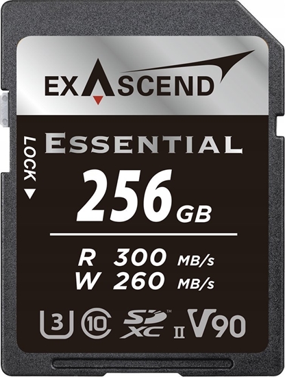 Изображение Karta ExAscend Karta pamici ExAscend Essential UHS-II V90 256GB