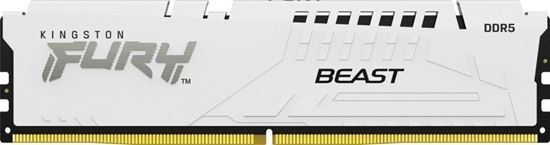 Изображение Pami Kingston Beast, DDR5, 16 GB, 6000MHz, CL36 (KF560C36BWE2-16)