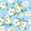 Изображение Salvetes 33cm Daisies 20gab.