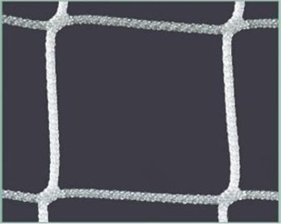 Picture of Siatka do siatkówki z antenkami Netex biaa SI0005