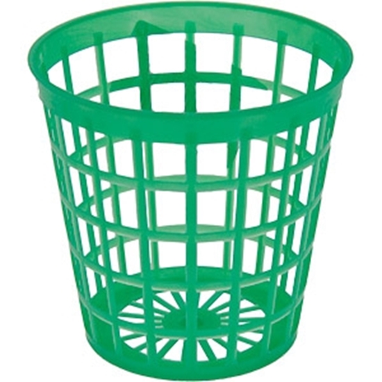 Picture of Grozs stādīšanai Sīpolpuķu 9cm