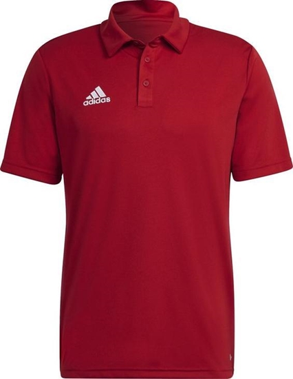 Picture of Adidas Koszulka adidas ENTRADA 22 Polo H57489 H57489 czerwony M