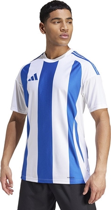 Attēls no Adidas Koszulka adidas STRIPED 24 JSY IW2144