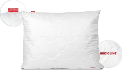 Attēls no AIO Europe Poduszka mikrofibra biaa pikowana niciowo 80 x 80 cm silikon