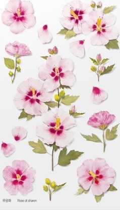 Attēls no Appree Naklejki ozdobne kwiaty Róa Sharon