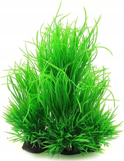 Picture of Aqua Nova AQUA NOVA ROLINA PLASTIKOWA 21 cm NP-21  6015-R