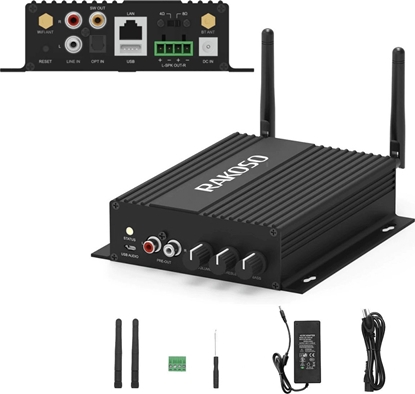 Picture of Arylic Arylic SA100 Multiroon Streamer ze wzmacniaczem do zabudowy