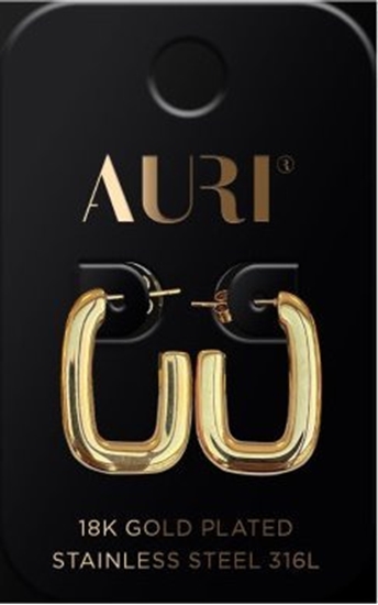 Picture of AURI_Kolczyki pozacane Owal Póotwarte