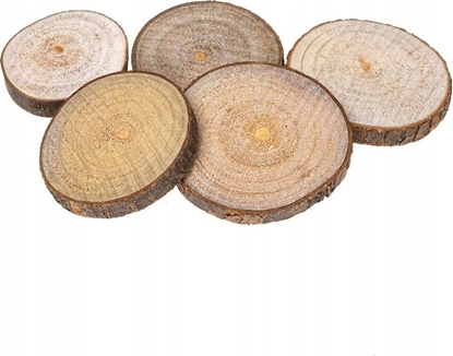 Attēls no Creativ Company Plastry drewna 4-6cm