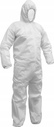 Изображение Dedra Kombinezon malarski rozm. XL