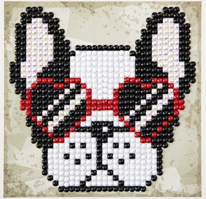 Изображение DIAMOND DOTZ DIAMOND DOTZ COOL SUNNIES QUICK DOTZ