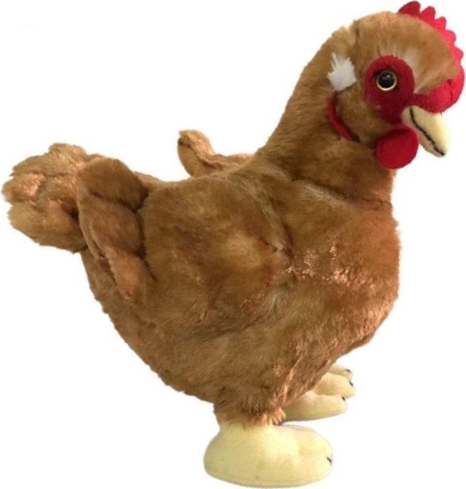 Picture of Dubi Kura 28cm