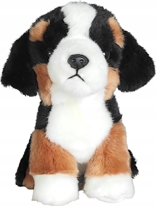 Attēls no Dubi Pies berneski 19cm