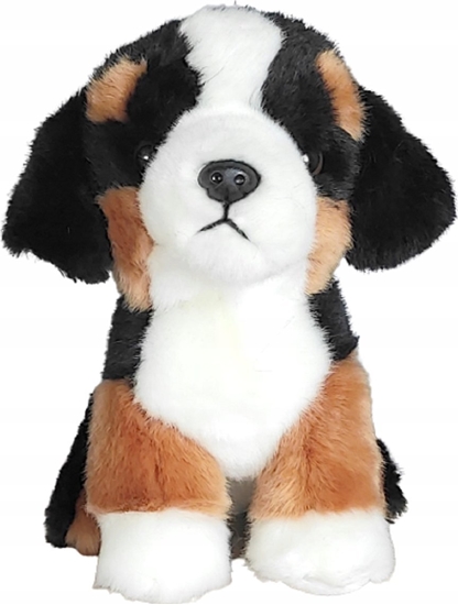 Изображение Dubi Pies berneski 19cm