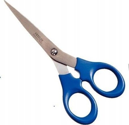 Изображение Esselte NOZYCZKI BIUROWE ESSELTE 16CM