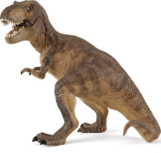 Picture of Figurka Hedo Figurka kolekcjonerska Dinozaur T-Rex, Papo
