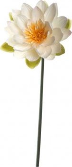 Picture of Leonardo Kwiat lilia wodna 75 Fiore